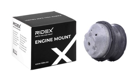 Ridex 247E0729 Engine Mount, photo 2