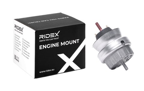 Ridex 247E0743 Engine Mount, photo 2