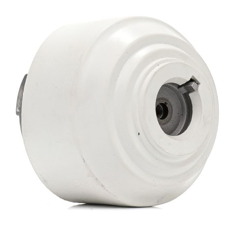 Ridex 247E0755 Engine Mount
