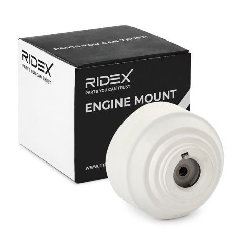 Ridex 247E0755 Engine Mount, photo 2