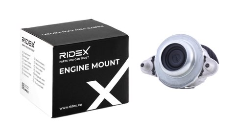 Ridex 247E0765 Engine Mount, photo 2