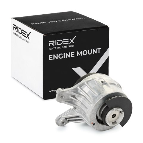 Ridex 247E0777 Engine Mount, photo 2