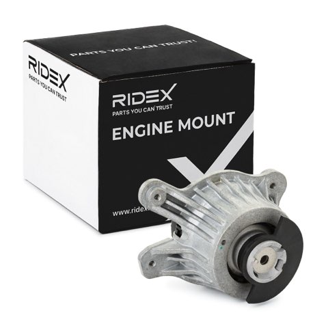 Ridex 247E0778 Engine Mount, photo 2