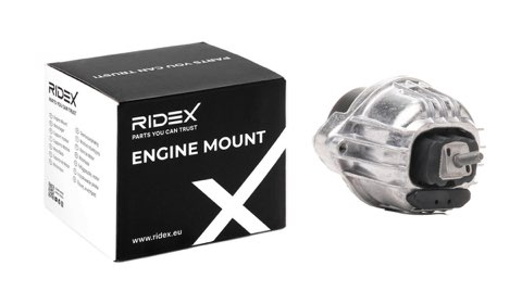 Ridex 247E0779 Engine Mount, photo 2