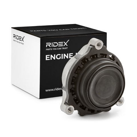 Ridex 247E0780 Engine Mount, photo 2