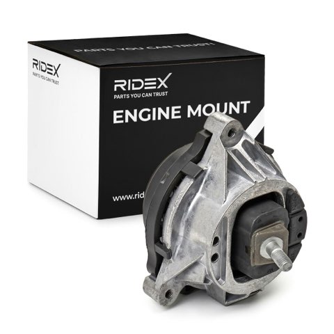 Ridex 247E0787 Engine Mount