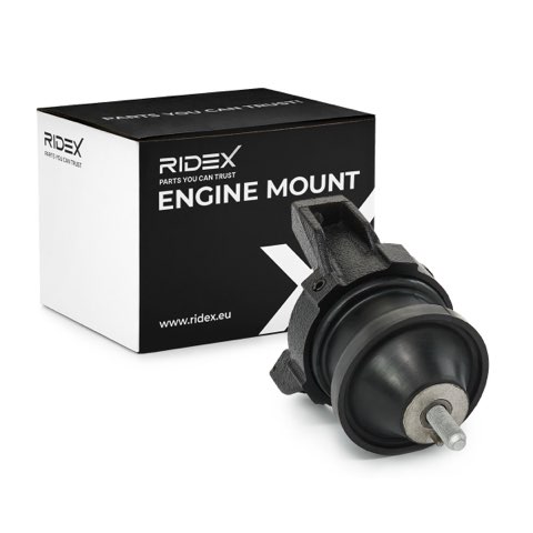 Ridex 247E0821 Engine Mount, photo 2