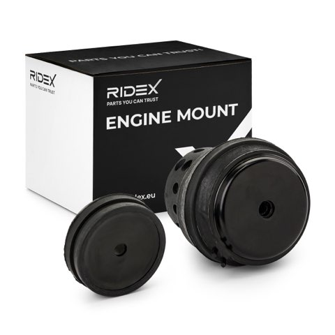 Ridex 247E0828 Engine Mount, photo 2