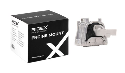Ridex 247E0846 Engine Mount, photo 2