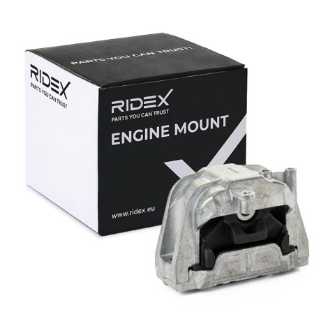 Ridex 247E0848 Engine Mount, photo 2