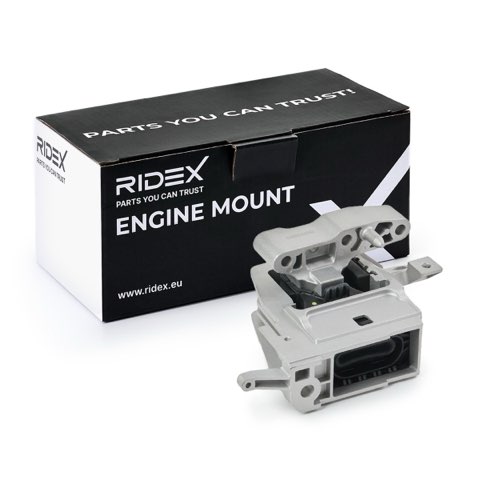 Ridex 247E0857 Engine Mount, photo 2