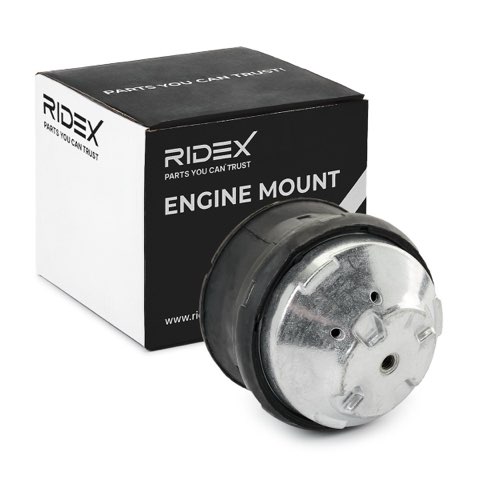Ridex 247E0871 Engine Mount, photo 2