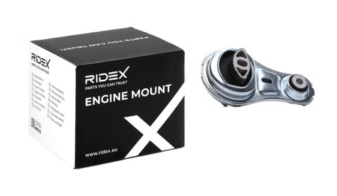 Ridex 247E0894 Engine Mount, photo 2