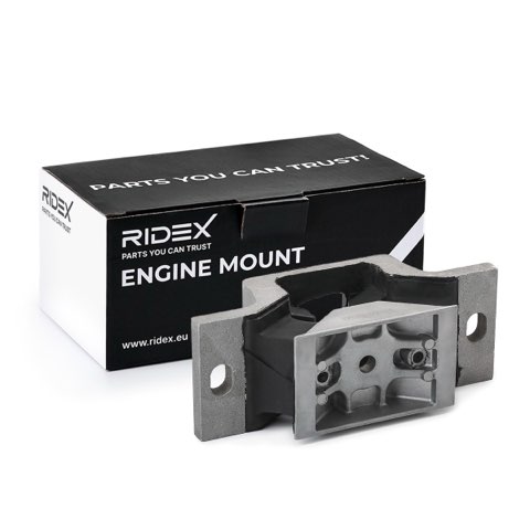 Ridex 247E0895 Engine Mount, photo 2