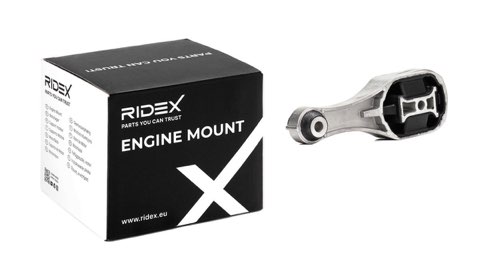 Ridex 247E0896 Engine Mount, photo 2