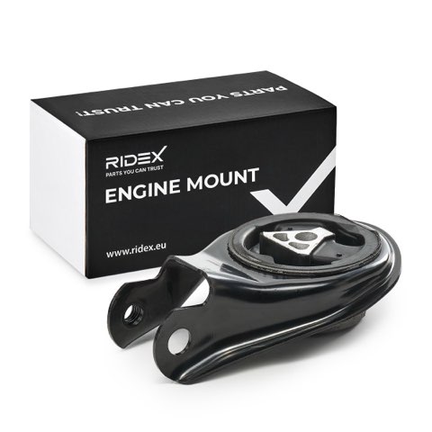 Ridex 247E0900 Engine Mount, photo 2