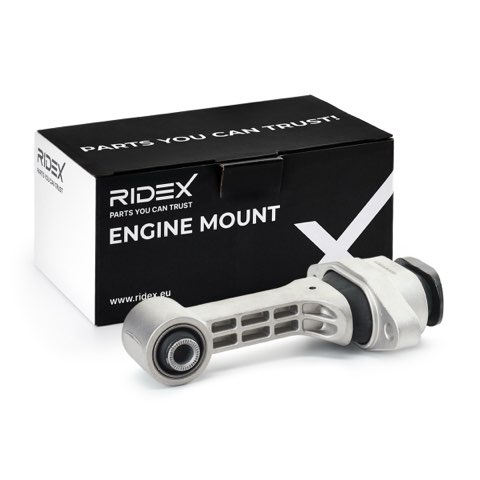 Ridex 247E0999 Engine Mount, photo 2