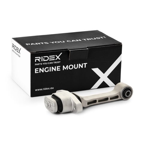 Ridex 247E1054 Engine Mount, photo 2