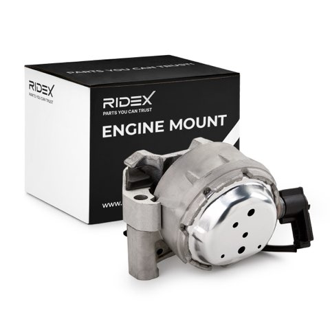Ridex 247E1099 Engine Mount, photo 2