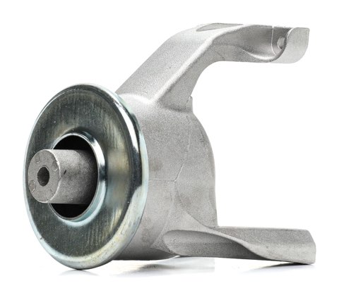 Ridex 247E1101 Engine Mount