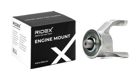 Ridex 247E1101 Engine Mount, photo 2