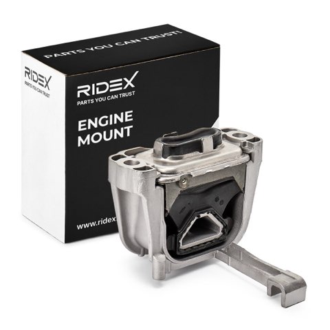 Ridex 247E1417 Engine Mount, photo 2
