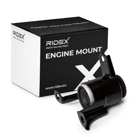 Ridex 247E2198 Engine Mount, photo 2