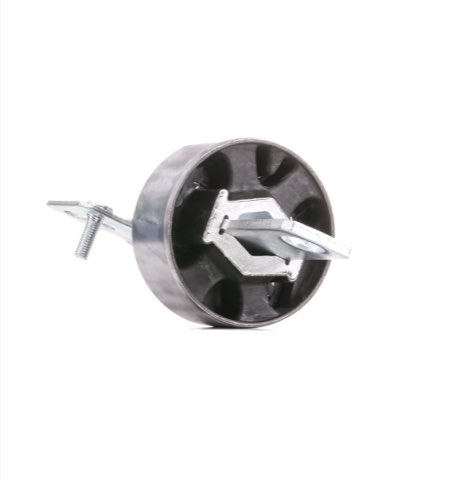 Ridex 251T0014 Trailing Arm / Suspension Arm Bush