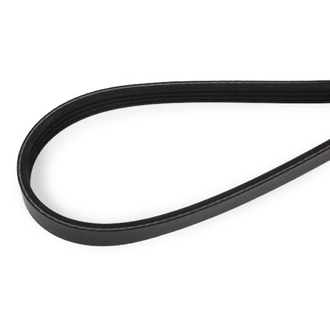 Febi Bilstein 28765 Serpentine Belt, photo 2