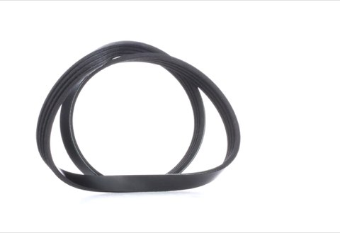 Febi Bilstein 28789 Serpentine Belt