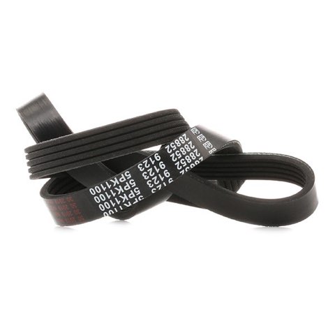 Febi Bilstein 28852 Serpentine Belt, photo 3
