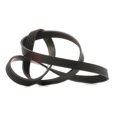 Febi Bilstein 28863 Serpentine Belt, photo 3