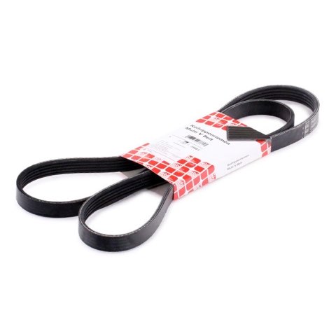 Febi Bilstein 28881 Serpentine Belt, photo 2