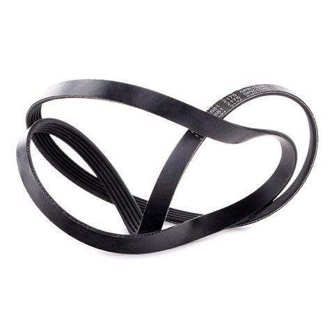 Febi Bilstein 28881 Serpentine Belt, photo 3