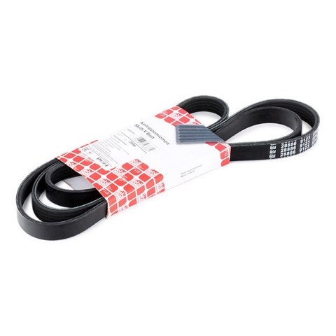 Febi Bilstein 28886 Serpentine Belt, photo 2