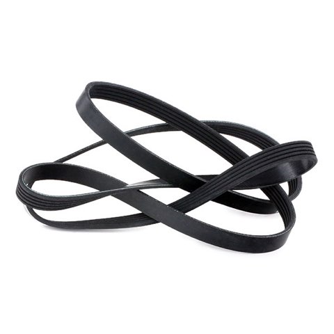 Febi Bilstein 28886 Serpentine Belt, photo 3