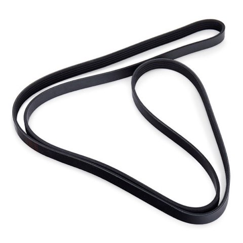 Febi Bilstein 28888 Serpentine Belt, photo 3