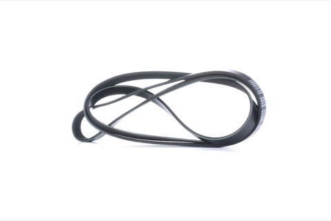 Febi Bilstein 28889 Serpentine Belt