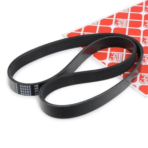 Febi Bilstein 28909 Serpentine Belt, photo 2