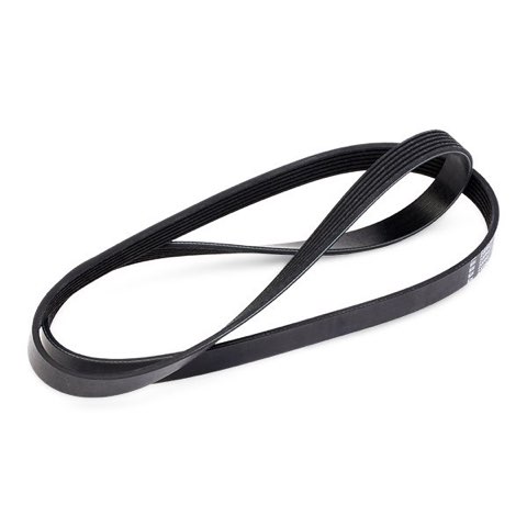 Febi Bilstein 28947 Serpentine Belt, photo 3