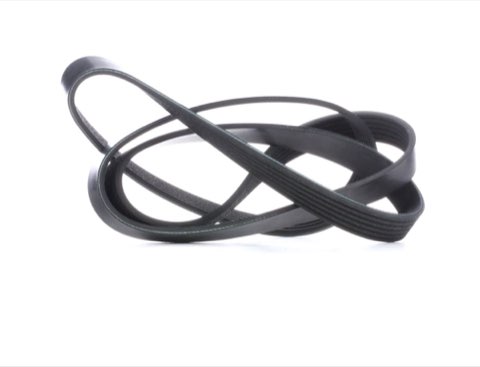 Febi Bilstein 28953 Serpentine Belt
