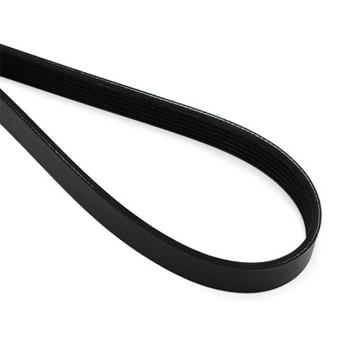 Febi Bilstein 28988 Serpentine Belt, photo 2
