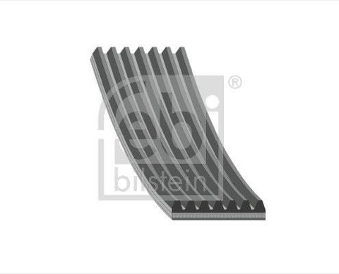 Febi Bilstein 29031 Serpentine Belt, photo 2