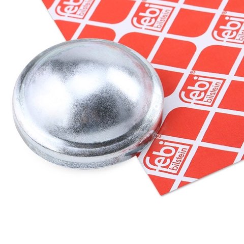 Febi Bilstein 29854 Cap, Wheel Bearing