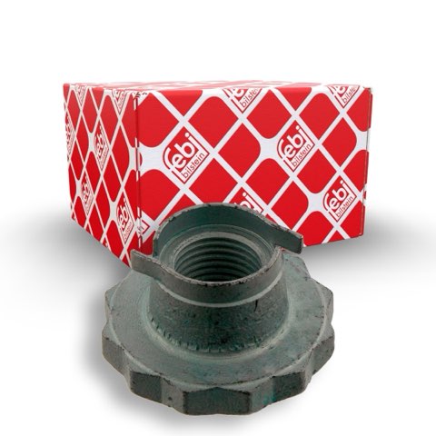 Febi Bilstein 30028 Nut, Stub Axle