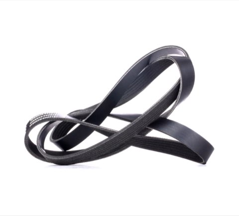 Ridex 305B0283 Serpentine Belt