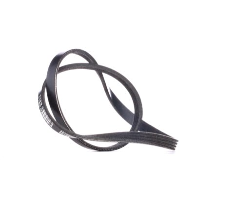 Ridex 305P0016 Serpentine Belt