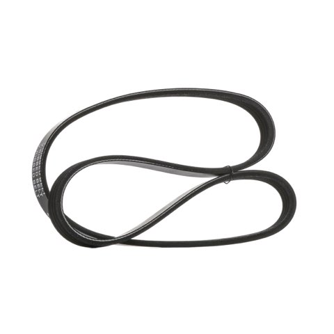 Ridex 305P0019 Serpentine Belt