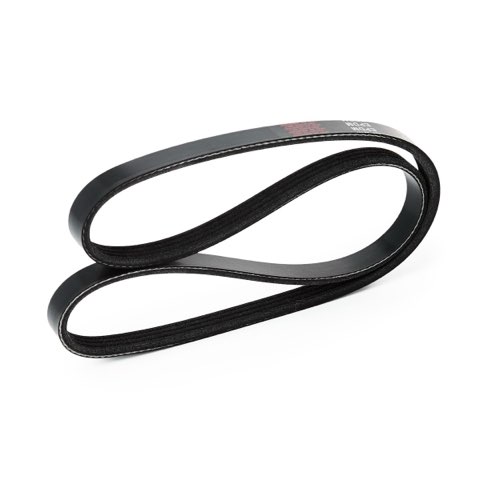 Ridex 305P0020 Serpentine Belt, photo 3