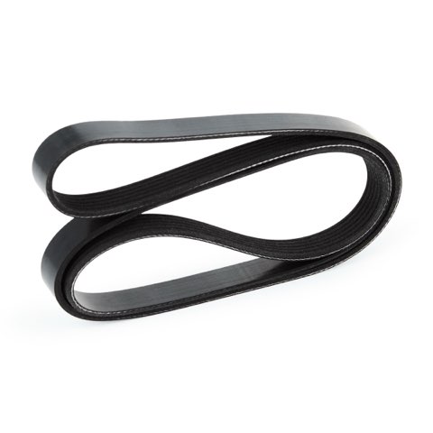 Ridex 305P0079 Serpentine Belt, photo 3